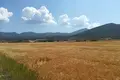 Land 1 room  Vasilika, Greece
