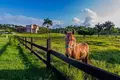 5 room villa 223 m² Veron, Dominican Republic