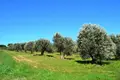 Земельные участки 1 комната  Каллитеа, Греция