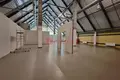 Shop 630 m² in Barawlyany, Belarus