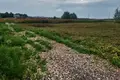 Atterrir  Zhabino, Russie