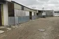 Propiedad comercial  en gmina Medyka, Polonia