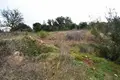 Land 1 room  Municipality of Pylaia - Chortiatis, Greece