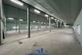 Manufacture 1 060 m² in Kirsy, Belarus