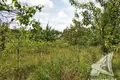 Земельные участки  Знаменский сельский Совет, Беларусь