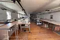 Commercial property 498 m² in Pinsk, Belarus