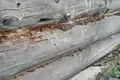 House 30 m² Gorodetsky District, Russia