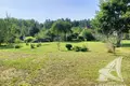 Grundstück  Muchaviecki sielski Saviet, Belarus