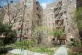 Квартира 3 комнаты  Нью-Йорк, США