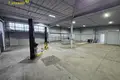Коммерческое помещение 3 комнаты 222 м² в Минске, Беларусь