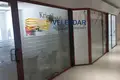 READY BUSINESS
