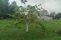 Dom 81 m² Werenowo, Białoruś