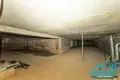 Office 4 000 m² in Minsk, Belarus