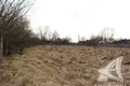 Land  Carnaucycki sielski Saviet, Belarus