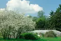 Château 35 chambres 1 700 m² Villeneuve-le-Roi, France