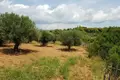 Land 1 room  Nikiti, Greece
