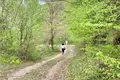 Land  Miljevci, Montenegro