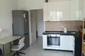 Wohnung 1 zimmer 25 m² Kopishche, Belarus