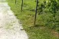 Parcelas  Baraulianski sielski Saviet, Belarús