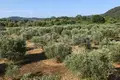 Grundstück 10 500 m² Gemeinde Aristotelis, Griechenland