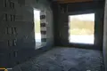 Коттедж в Великие Гаяны, Беларусь