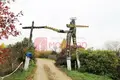 Commercial 18 m² in carnica, Belarus