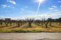 Parcelas 5 400 m² Nea Plagia, Grecia