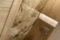 2 room apartment 46 m² Barysaw, Belarus