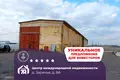 Warehouse 955 m² in Zarecca, Belarus
