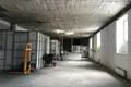 Commercial property 1 room 850 m² in Pudost, Russia