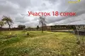 House 60 m² in Shershunskiy selskiy Sovet, Belarus