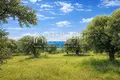 Parcelas 9 312 m² Agios Nikolaos, Grecia