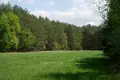 Land 22 631 m² Smolice, Poland