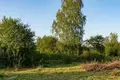 House 36 m² Ravanicki sielski Saviet, Belarus