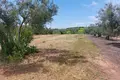 Grundstück 2 800 m² Nea Flogita, Griechenland
