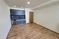 1 bedroom apartment 24 m² okres Ostrava mesto, Czech Republic