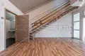 Propriété commerciale 87 m² à Grad Pula, Croatie