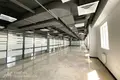 Office 1 room 515 m² in Minsk, Belarus