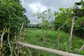 Działki  Batas Desa Montong Ajan, Indonezja