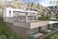 Developer project
