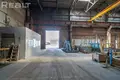 Manufacture 3 933 m² in Minsk, Belarus