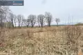 Atterrir  Karsunalaukis, Lituanie