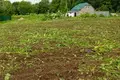 Land  Bolsevrudskoe selskoe poselenie, Russia