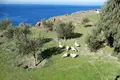 Land 1 room  Municipality of Andros, Greece
