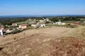 Land  Kastelir, Croatia