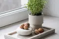 Haus 281 m² Landwerau, Litauen