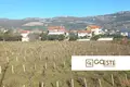 Land  Opcina Dezanovac, Croatia