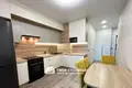 Квартира 1 комната 43 м² в Минске, Беларусь