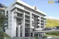 Developer project
