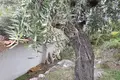 Atterrir  Thassos Municipality, Grèce